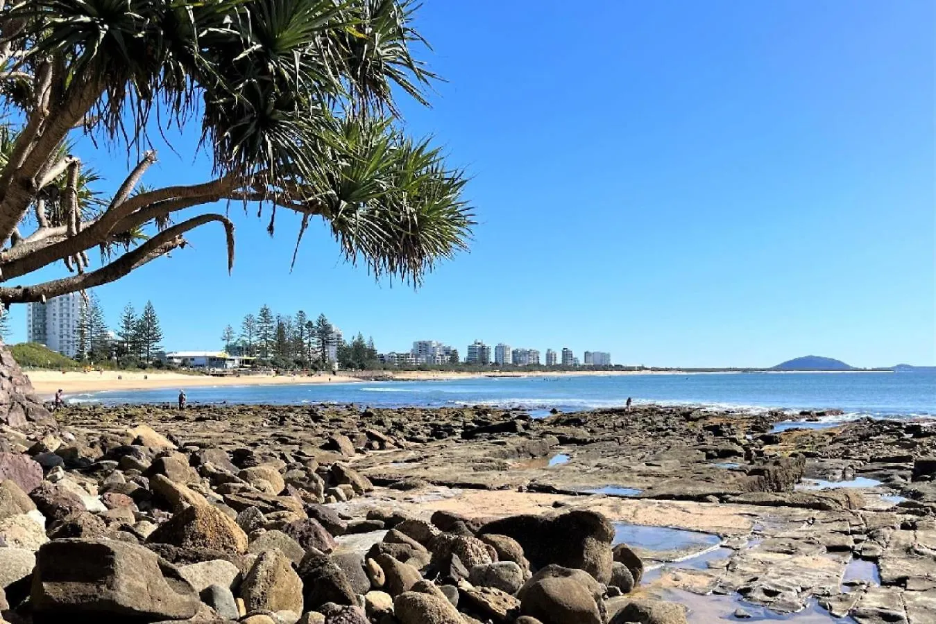 Highwater Haven - Ocean View Apartment. 300M To Beach. Pet Friendly Alexandra Headland